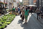Verwegener Vorschlag? (Foto: Karl-Heinz Herrmann)
