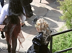 Wave Gotik Treffen 2017 in Leipzig (Foto: Peter Blei) Wave Gotik Treffen 2017 in Leipzig (Foto: Peter Blei)