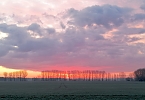 Winterlicher Sonnenaufgang bei Greu&szlig;en (Foto: Yvonne Gr&auml;fe)