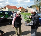Pflanzentausch in Bad Frankenhausen (Foto: Zeidler/ Zimmer Bad Frankenhausen)