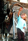 Ferien auf dem Erlebnisbauernhof Kleinberndten (Foto: Landleben e.V.)