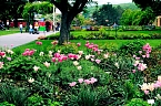 BUGA Erfurt (Foto: P.Blei)