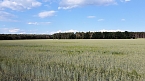 Ausflug zum Muldestausee (Foto: P.Blei)