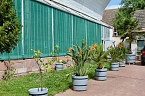 Sonntagsbesuch in der Orangerie in Bendeleben (Foto: Eva Maria Wiegand)