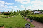 Sonntagsbesuch in der Orangerie in Bendeleben (Foto: Eva Maria Wiegand)