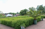 Sonntagsbesuch in der Orangerie in Bendeleben (Foto: Eva Maria Wiegand)