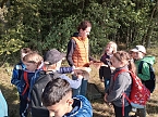 Sport- und Spielwoche der Grundschule Hohenebra (Foto: GS Hohenebra)