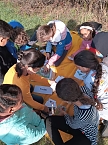 Sport- und Spielwoche der Grundschule Hohenebra (Foto: GS Hohenebra)