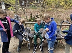 Arbeitseinsatz im Affenwald (Foto: privat) Arbeitseinsatz im Affenwald (Foto: privat)