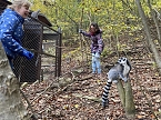 Arbeitseinsatz im Affenwald (Foto: privat) Arbeitseinsatz im Affenwald (Foto: privat)