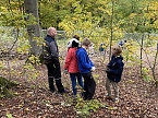Arbeitseinsatz im Affenwald (Foto: privat) Arbeitseinsatz im Affenwald (Foto: privat)