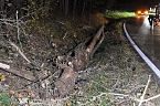 Verkehrsunfall im Kyffh&auml;usrkreis (Foto: S.Dietzel)