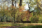 Herbstimpressionen (Foto: Eva Maria Wiegand)