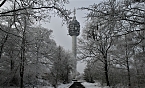 Winter im Kyffh&auml;userwald (Foto: Ulrich Reinboth)