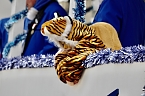 Ausgelassen und fr&ouml;hlich feierten die Menschen am Rosenmontag in Sondershausen (Foto: Eva Maria Wiegand)