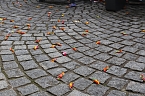 Ein bunter Karnevalszug zog sich am Rosenmontag durch Sondershausen (Foto: Eva Maria Wiegand)