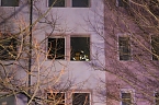 Bild: Brand in Sondershausen (Foto: S.Dietzel)
