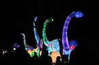Peter Blei in den magischen Lichterwelten (Foto: Peter Blei)