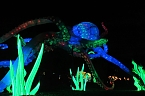 Peter Blei in den magischen Lichterwelten (Foto: Peter Blei)
