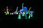 Peter Blei in den magischen Lichterwelten (Foto: Peter Blei)