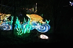 Peter Blei in den magischen Lichterwelten (Foto: Peter Blei)