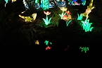 Peter Blei in den magischen Lichterwelten (Foto: Peter Blei)