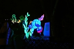 Peter Blei in den magischen Lichterwelten (Foto: Peter Blei)