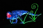 Peter Blei in den magischen Lichterwelten (Foto: Peter Blei)
