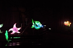 Peter Blei in den magischen Lichterwelten (Foto: Peter Blei)