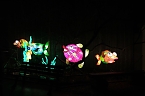 Peter Blei in den magischen Lichterwelten (Foto: Peter Blei)