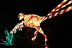 Peter Blei in den magischen Lichterwelten (Foto: Peter Blei)