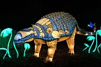 Peter Blei in den magischen Lichterwelten (Foto: Peter Blei)