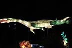 Peter Blei in den magischen Lichterwelten (Foto: Peter Blei)