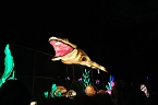 Peter Blei in den magischen Lichterwelten (Foto: Peter Blei)