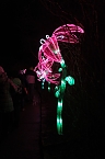 Peter Blei in den magischen Lichterwelten (Foto: Peter Blei)