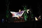 Peter Blei in den magischen Lichterwelten (Foto: Peter Blei)