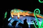 Peter Blei in den magischen Lichterwelten (Foto: Peter Blei)