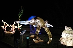Peter Blei in den magischen Lichterwelten (Foto: Peter Blei)