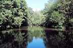 Die Wunder der Natur eingefangen von der Kamera (Foto: P.Blei)