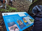 Der Frauenberg-Trai (Sondershausen) ist ein Familienerlebniswanderweg mit sieben verschiedene Erlebnisstationen (Foto: Janine Skara)