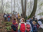 Der Frauenberg-Trai (Sondershausen) ist ein Familienerlebniswanderweg mit sieben verschiedene Erlebnisstationen (Foto: Janine Skara)