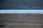 Neuer Aussichtsturm am Stausee Kelbra (Foto: Peter Blei) Bild: Neuer Aussichtsturm am Stausee Kelbra (Foto: Peter Blei)
