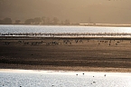 Neuer Aussichtsturm am Stausee Kelbra (Foto: Peter Blei) Bild: Neuer Aussichtsturm am Stausee Kelbra (Foto: Peter Blei)