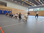 Ferienprogramm an der Grundschule Artern (Foto: Grundschule Artern) Ferienprogramm an der Grundschule Artern (Foto: Grundschule Artern)