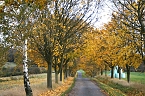 Herbst in der Goldenen Aue (Foto: Ulrich Reinboth) Herbst in der Goldenen Aue (Foto: Ulrich Reinboth)
