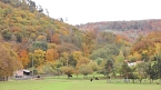 Herbst in der Goldenen Aue (Foto: Ulrich Reinboth) Herbst in der Goldenen Aue (Foto: Ulrich Reinboth)