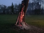 Erneuter Brand im Schlosspark Sondershausen (Foto: S. Dietzel) Erneuter Brand im Schlosspark Sondershausen (Foto: S. Dietzel)
