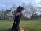 Erneuter Brand im Schlosspark Sondershausen (Foto: S. Dietzel) Erneuter Brand im Schlosspark Sondershausen (Foto: S. Dietzel)