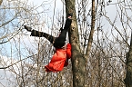 Baumproben bei Kelbra (Foto: Ulrich Reinboth)