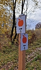 Naturprojekt wird beendet (Foto: S.Staubitz)
